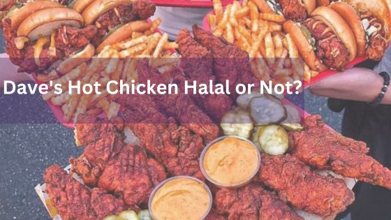 is daves hot chicken halal