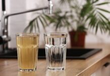 healthy home life - the importance of water filtration