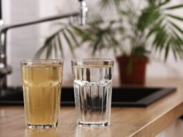 healthy home life - the importance of water filtration