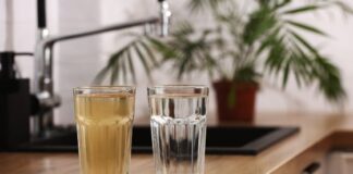 healthy home life - the importance of water filtration