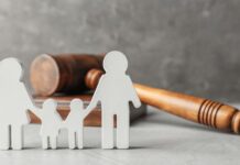 the family law system