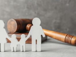 the family law system