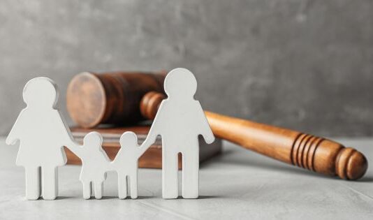 the family law system