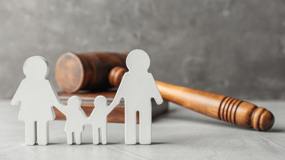 the family law system