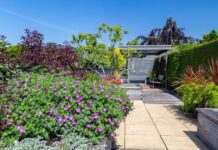 top garden features to consider