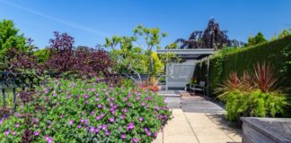 top garden features to consider