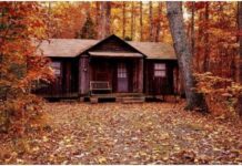 what you need to know about building a custom log cabin