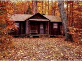 what you need to know about building a custom log cabin