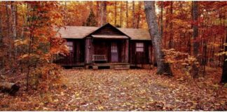 what you need to know about building a custom log cabin