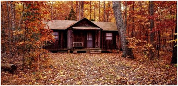 what you need to know about building a custom log cabin
