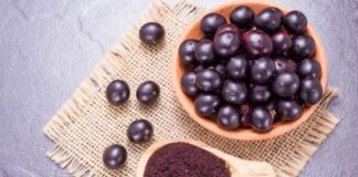 is acai good for dogs