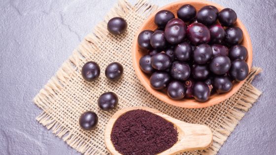 is acai good for dogs
