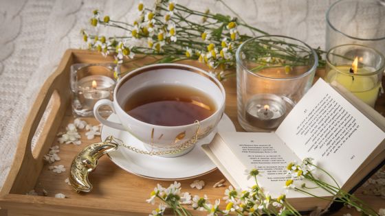 elevating your tea habit